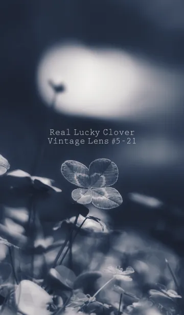 [LINE着せ替え] 四つ葉のクローバー Vintage Lens #5-21の画像1