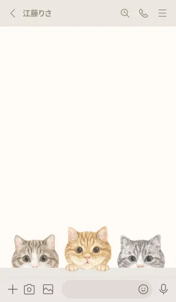 [LINE着せ替え] 猫 - マンチカン - ベージュの画像2