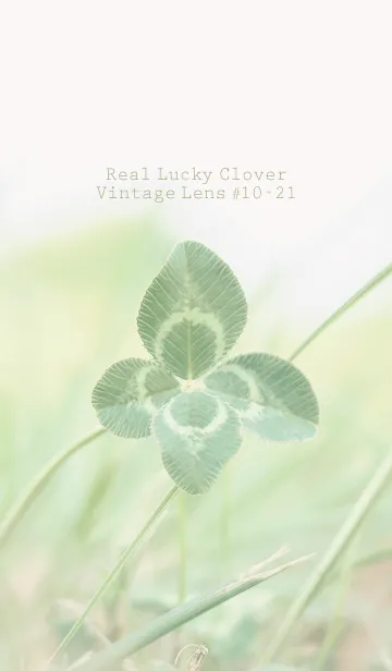 [LINE着せ替え] 四つ葉のクローバー Vintage Lens #10-21の画像1