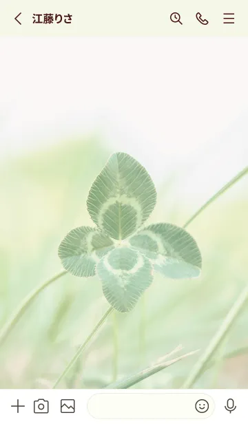 [LINE着せ替え] 四つ葉のクローバー Vintage Lens #10-21の画像2