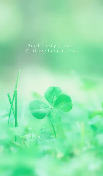 [LINE着せ替え] 四つ葉のクローバー Vintage Lens #11-21の画像1