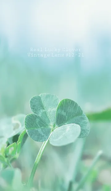 [LINE着せ替え] 四つ葉のクローバー Vintage Lens #12-21の画像1
