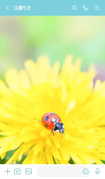 [LINE着せ替え] Ladybird Symbol of good luck #3-17の画像2