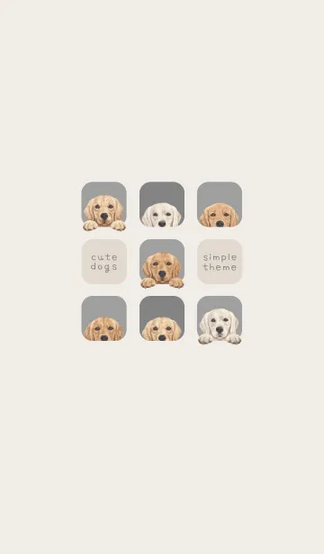 [LINE着せ替え] DOGS-ゴールデンレトリバー-アッシュグレーの画像1