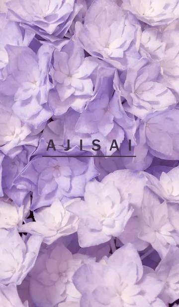 [LINE着せ替え] AJISAI-Purple Flower 24の画像1