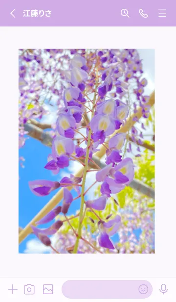 [LINE着せ替え] 藤の花〜日本の風景2の画像2