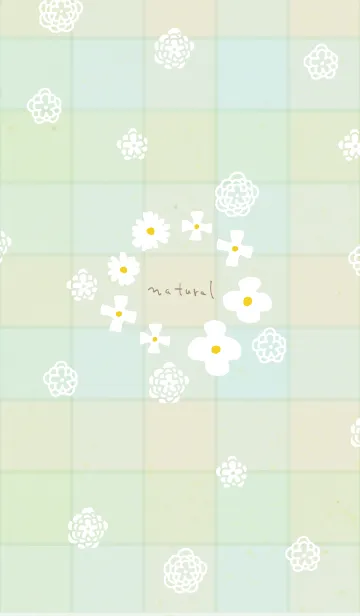 [LINE着せ替え] 白い花 チェック柄5の画像1