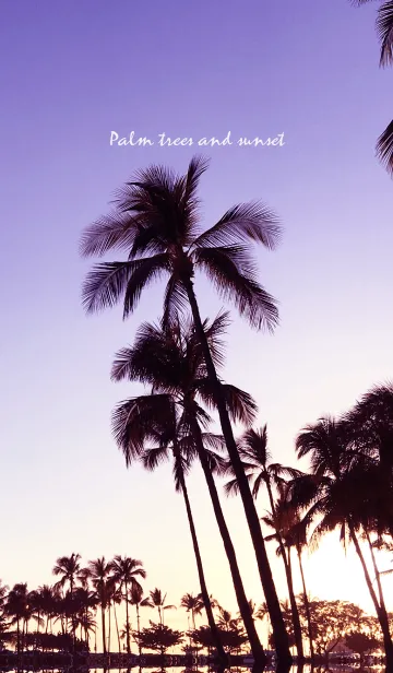 [LINE着せ替え] Palm trees and sunset 36の画像1