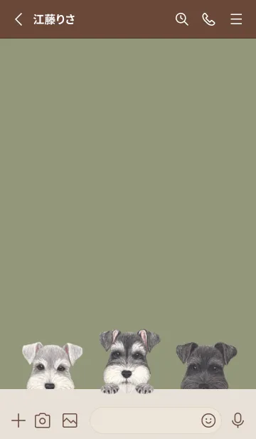 [LINE着せ替え] ワンワン！ - シュナウザー - オリーブの画像2