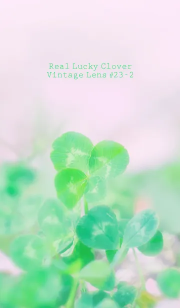 [LINE着せ替え] 四つ葉のクローバー Vintage Lens #23-2の画像1