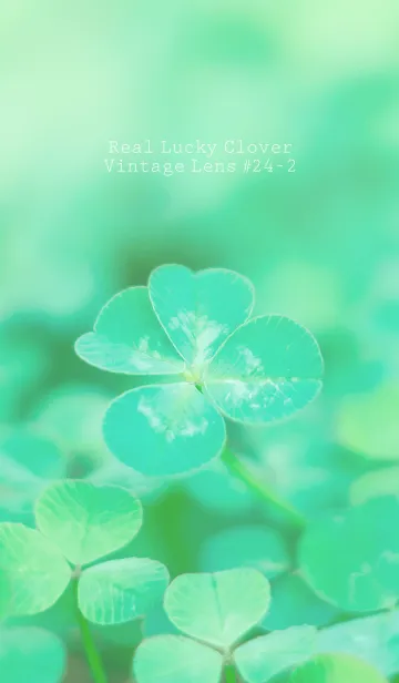 [LINE着せ替え] 四つ葉のクローバー Vintage Lens #24-2の画像1