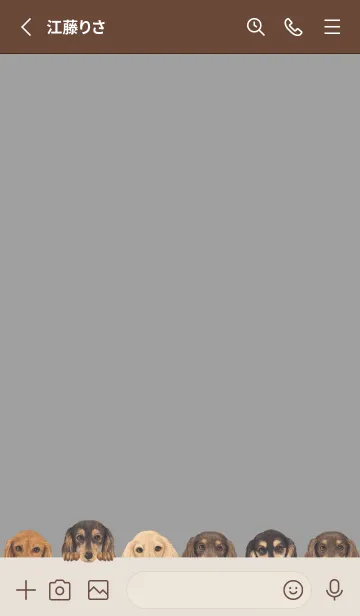 [LINE着せ替え] DOGS - ダックスフンド L - アッシュグレーの画像2