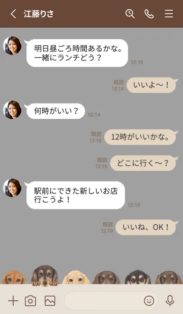 [LINE着せ替え] DOGS - ダックスフンド L - アッシュグレーの画像3