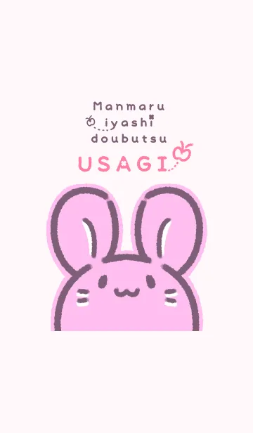 [LINE着せ替え] まんまるいやしどうぶつ うさぎの画像1