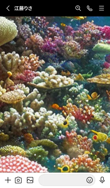 [LINE着せ替え] 熱帯魚の夢#FO126。の画像2