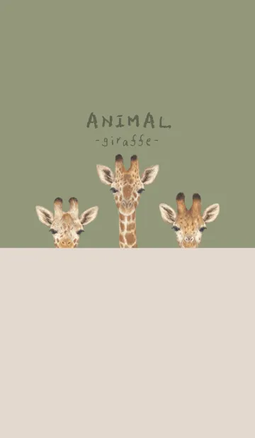 [LINE着せ替え] ANIMAL - キリン - オリーブの画像1