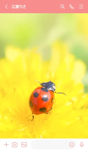 [LINE着せ替え] Ladybird Symbol of good luck #1-18の画像2