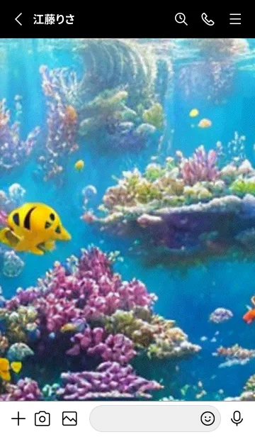[LINE着せ替え] 熱帯魚の夢#FO213。の画像2