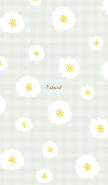 [LINE着せ替え] 白い花 舞う17の画像1