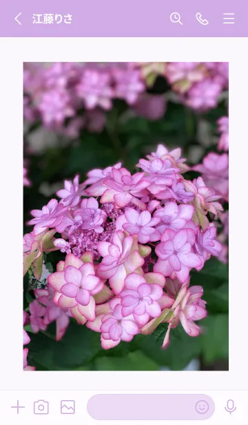[LINE着せ替え] 紫陽花〜日本の風景の画像2