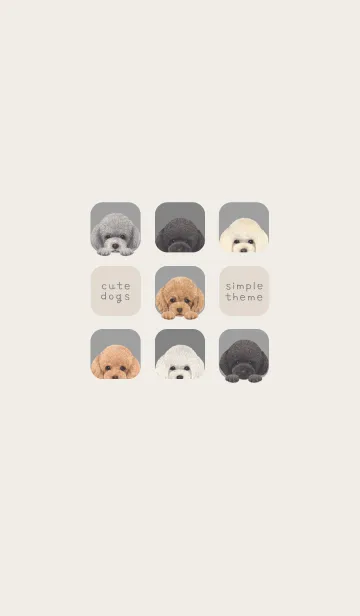 [LINE着せ替え] DOGS -トイプードル - アッシュグレーの画像1