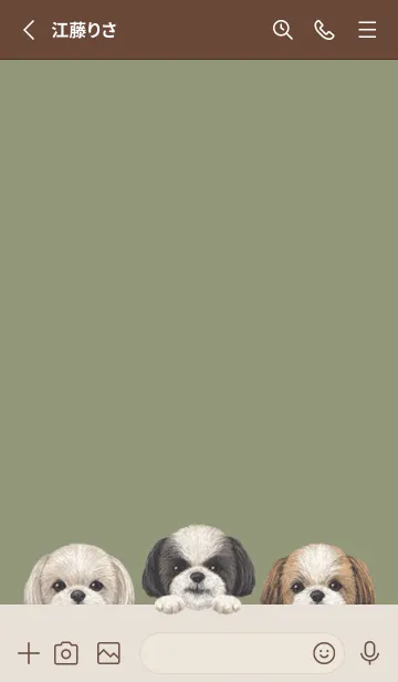 [LINE着せ替え] ワンワン - シーズー - オリーブの画像2