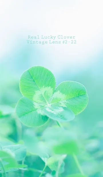 [LINE着せ替え] 四つ葉のクローバー Vintage Lens #2-22の画像1