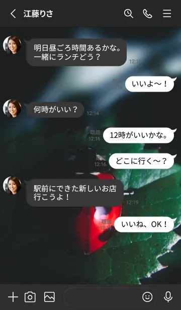 [LINE着せ替え] Ladybird Symbol of good luck #2-18の画像3