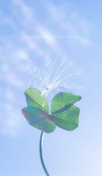 [LINE着せ替え] 幸運の妖精ケサランパサラン #3-20の画像1