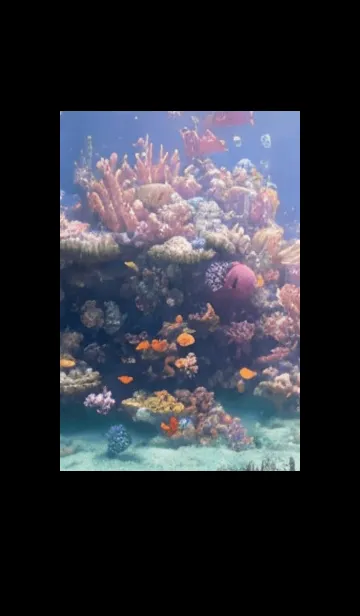 [LINE着せ替え] 熱帯魚の夢#FR09。の画像1