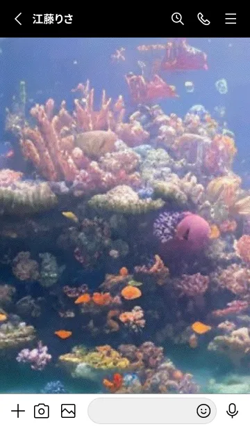 [LINE着せ替え] 熱帯魚の夢#FR09。の画像2
