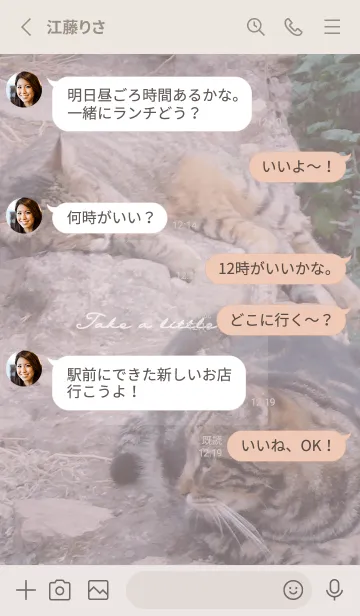 [LINE着せ替え] Short hand travel CATの画像3