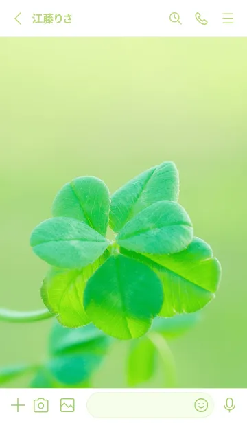 [LINE着せ替え] 七つ葉のクローバー 無限の幸福 #6-1の画像2