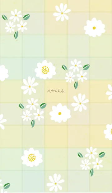 [LINE着せ替え] 白い小花 キュート19の画像1