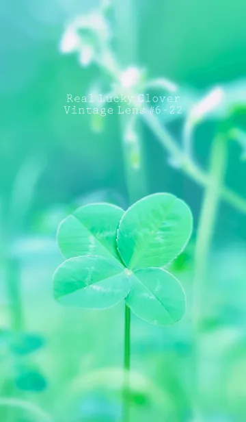 [LINE着せ替え] 四つ葉のクローバー Vintage Lens #6-22の画像1