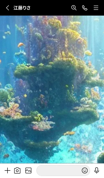 [LINE着せ替え] 熱帯魚の夢#FS127。の画像2