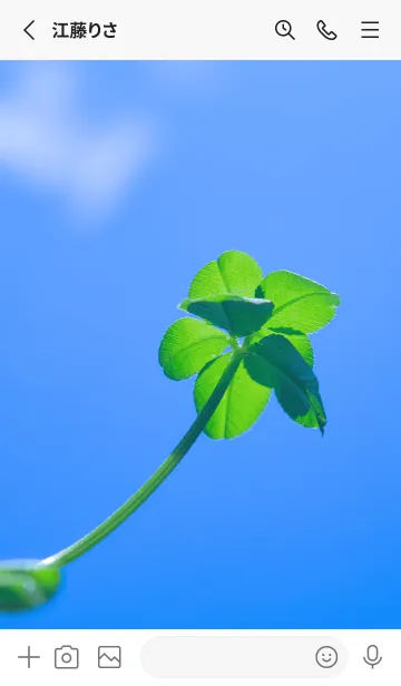[LINE着せ替え] 七つ葉のクローバー 無限の幸福 #3-2の画像2
