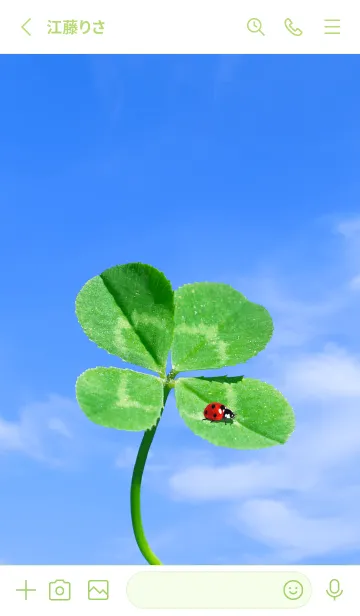 [LINE着せ替え] 四つ葉のクローバーとテントウムシ #6-5の画像2