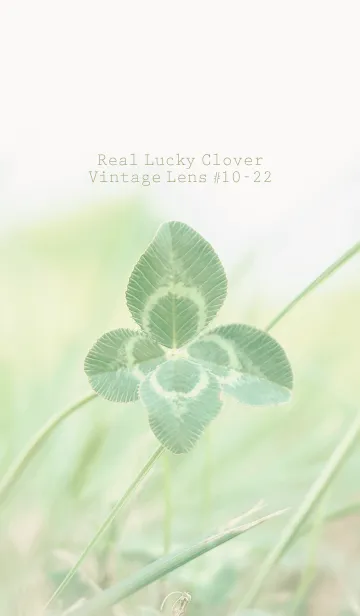 [LINE着せ替え] 四つ葉のクローバー Vintage Lens #10-22の画像1