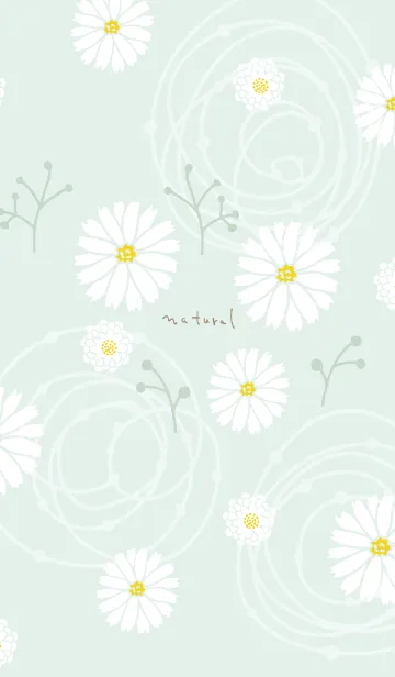 [LINE着せ替え] シンプル 白色の花5の画像1