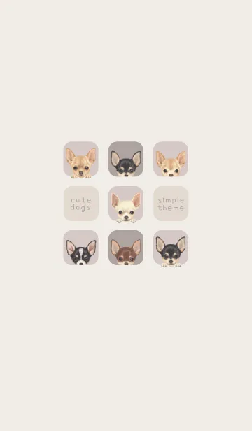 [LINE着せ替え] DOGS - チワワ - ブラウングレーの画像1
