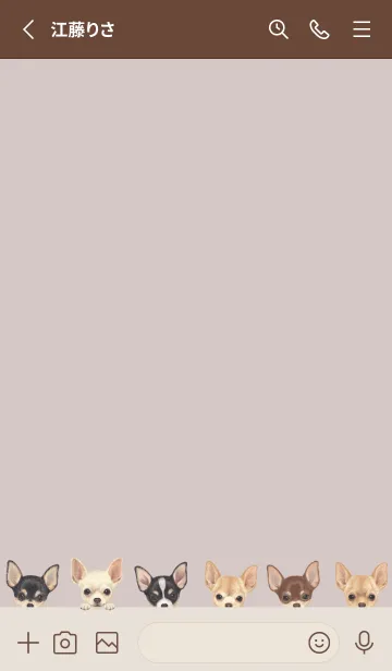 [LINE着せ替え] DOGS - チワワ - ブラウングレーの画像2