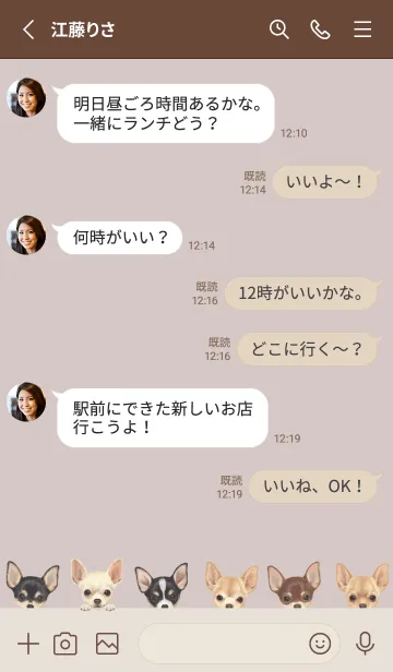 [LINE着せ替え] DOGS - チワワ - ブラウングレーの画像3