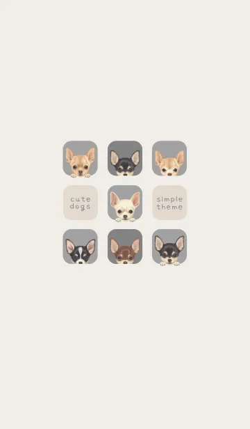 [LINE着せ替え] DOGS - チワワ - アッシュグレーの画像1