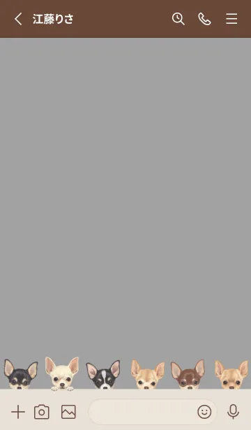 [LINE着せ替え] DOGS - チワワ - アッシュグレーの画像2