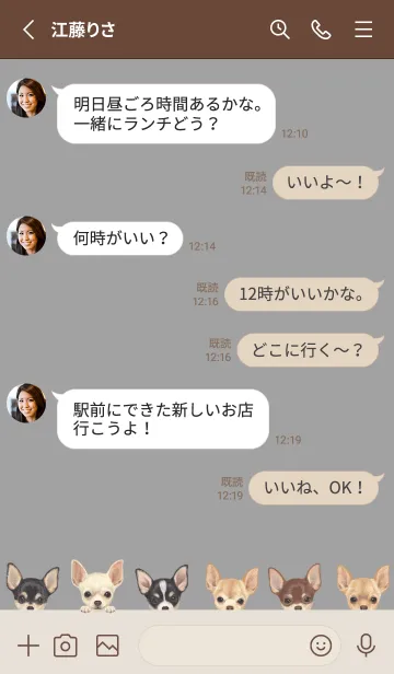 [LINE着せ替え] DOGS - チワワ - アッシュグレーの画像3