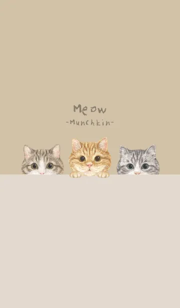 [LINE着せ替え] 猫 - マンチカン - ダスティベージュの画像1