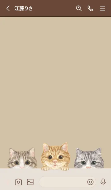 [LINE着せ替え] 猫 - マンチカン - ダスティベージュの画像2