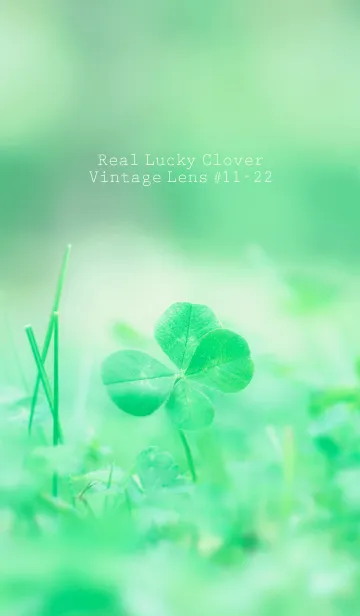 [LINE着せ替え] 四つ葉のクローバー Vintage Lens #11-22の画像1