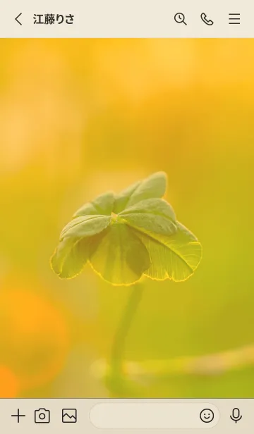 [LINE着せ替え] 七つ葉のクローバー 無限の幸福 #4-3の画像2